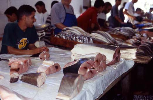  - 09 Fish market in Tanger